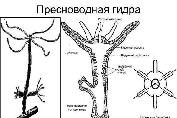 Кракен русский